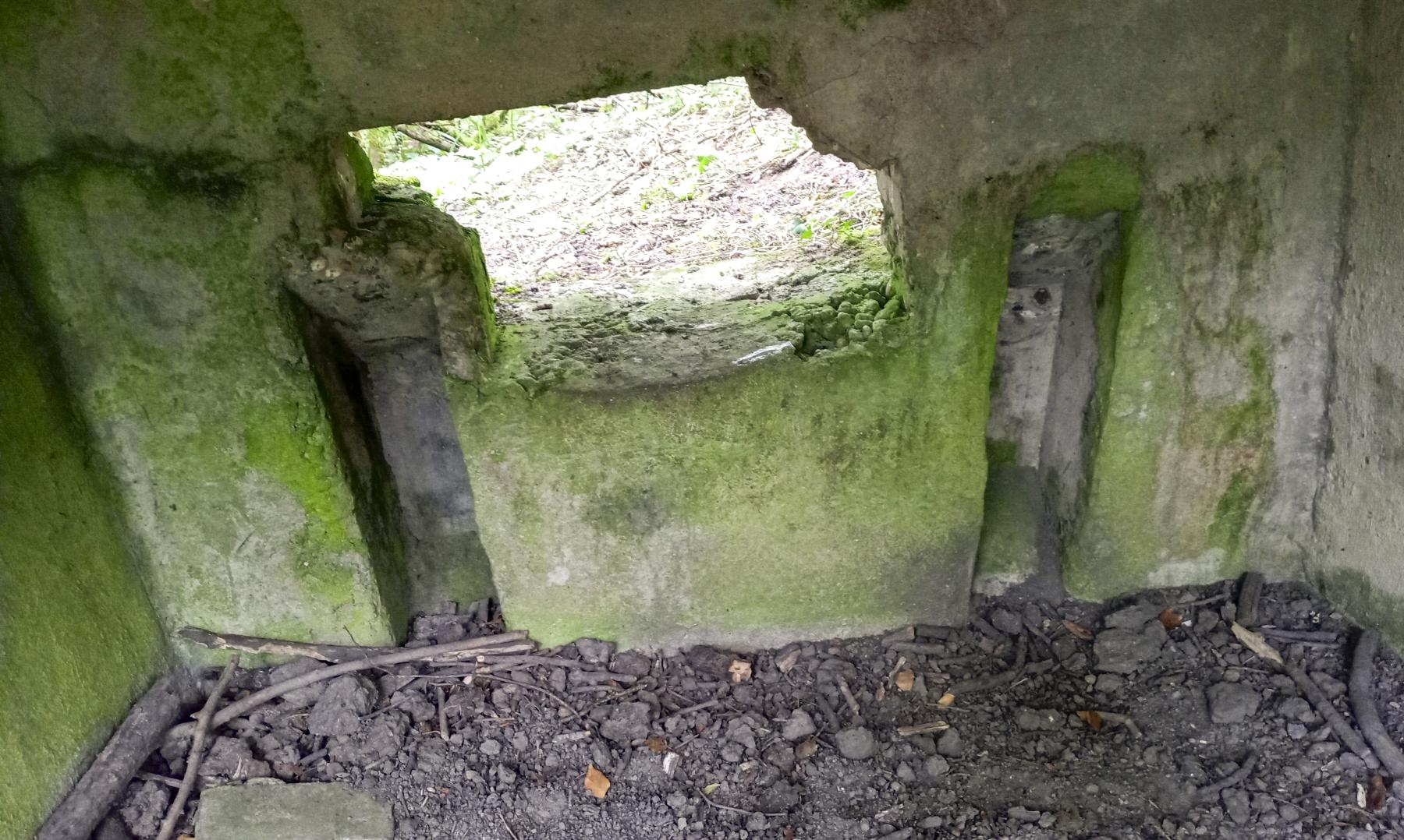 Ligne Maginot - BBO10 - (Blockhaus pour canon) -  - Marc Fossoul