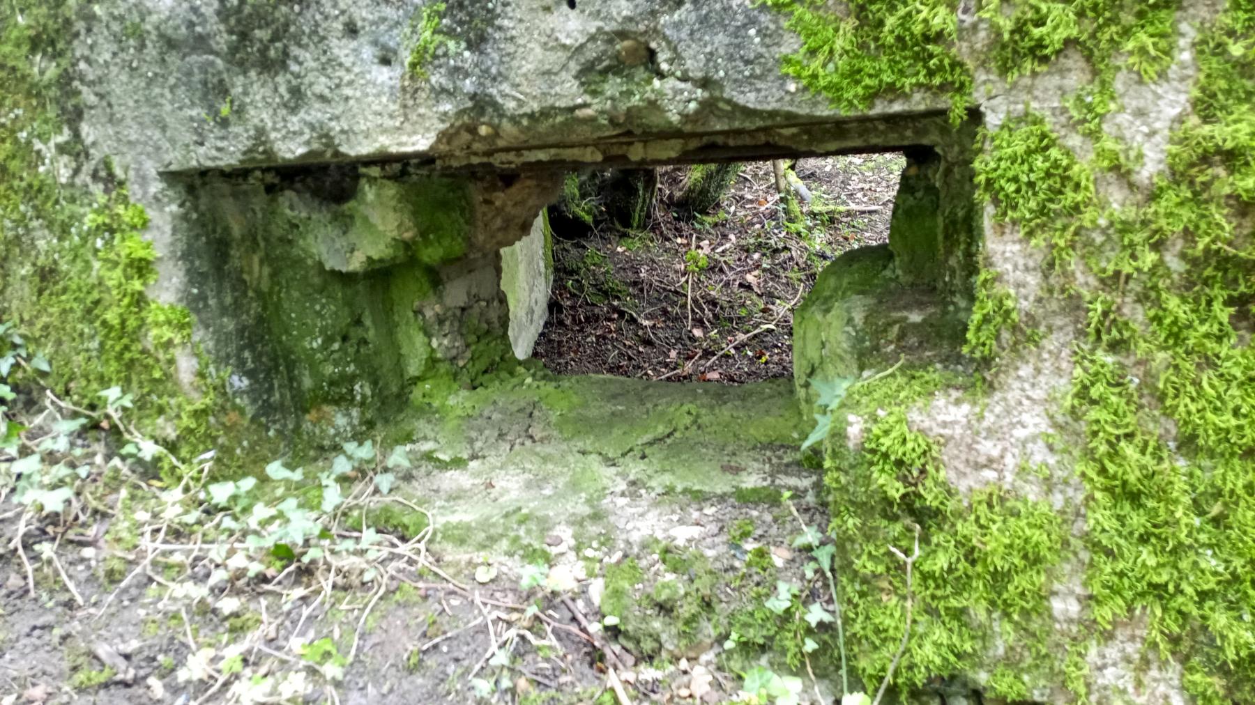 Ligne Maginot - BBO10 - (Blockhaus pour canon) - Le créneau - Marc Fossoul