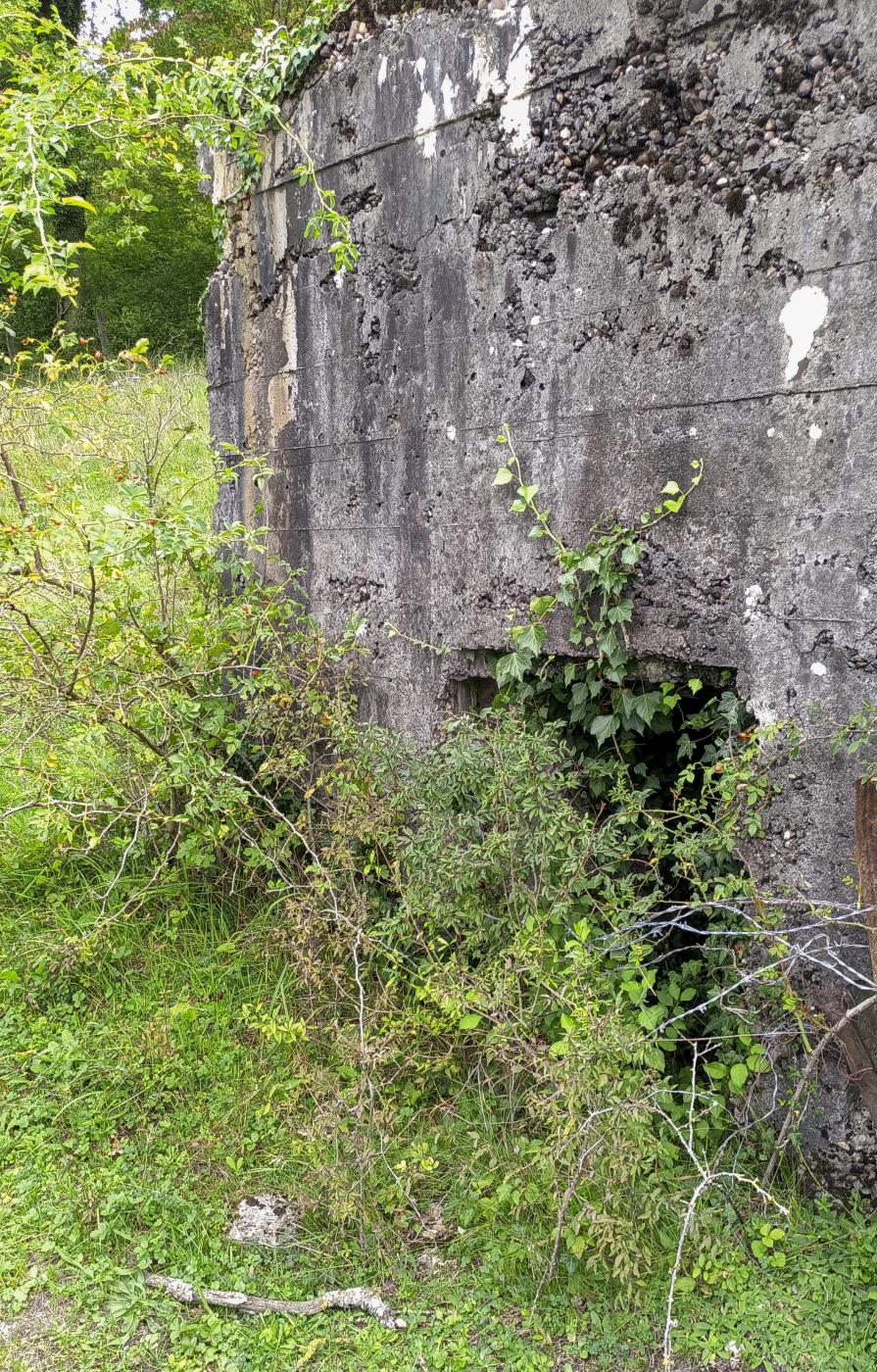 Ligne Maginot - CB1-B - HASDORFEROD SUD - (Blockhaus pour canon) -  - Marc Fossoul