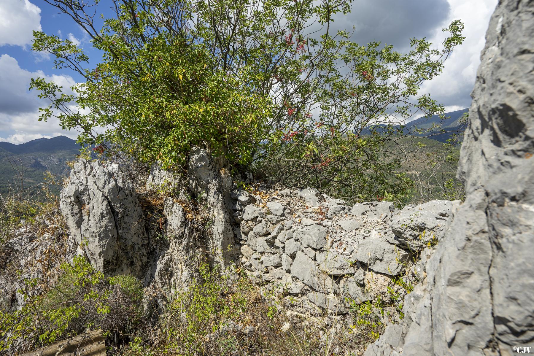 Ligne Maginot - CASTES RUINES 2 - (Cuve pour arme d'infanterie) -  - Lia VERMEULEN