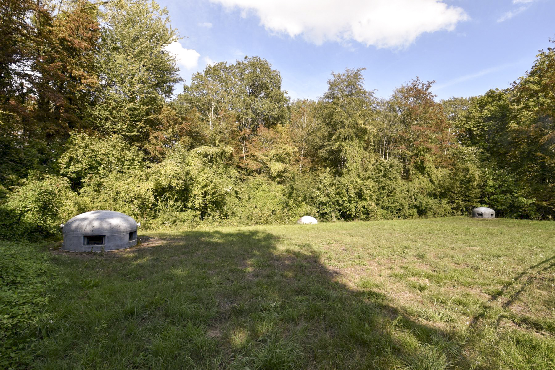 Ligne Maginot - ZEITERHOLZ - X6 - (Abri) -  - Ludovic KNAPP