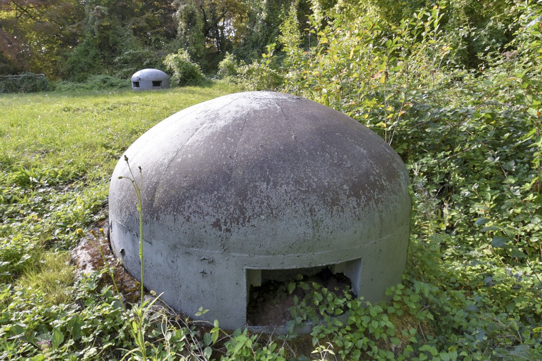 Ligne Maginot - ZEITERHOLZ - X6 - (Abri) - La fausse cloche - Ludovic KNAPP