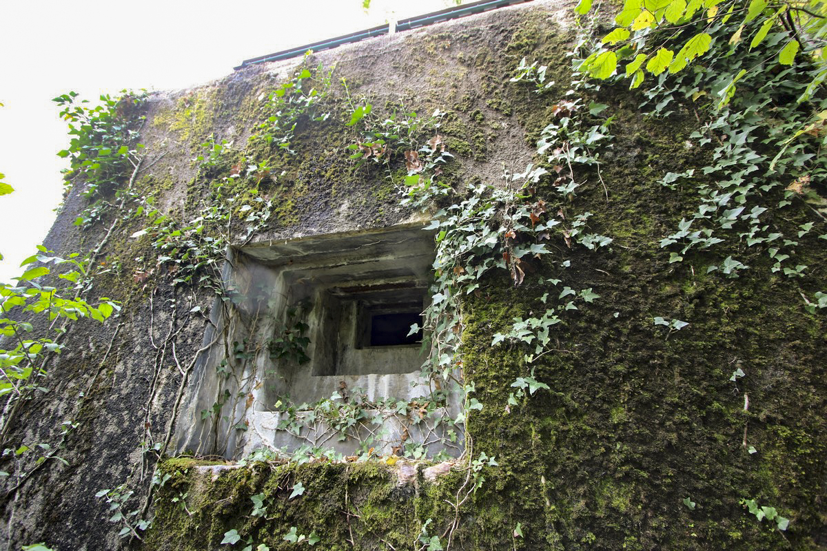 Ligne Maginot - BIEF PAROU NORD - (Blockhaus pour arme infanterie) - Le créneau nord - Alain Perouffe