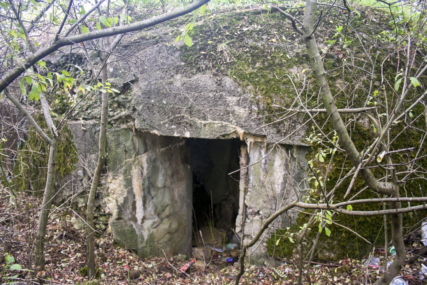 Ligne Maginot - CB12 - (Blockhaus pour canon) -  - Michel Teiten