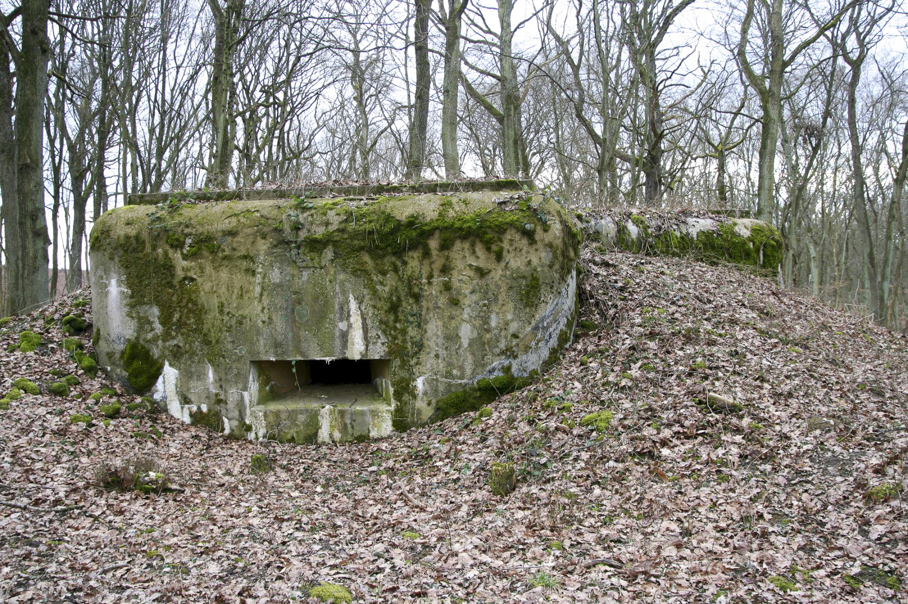 Ligne Maginot - CB9 - ROCKSWINGERT - (Blockhaus pour arme infanterie) -  - Michel Teiten
