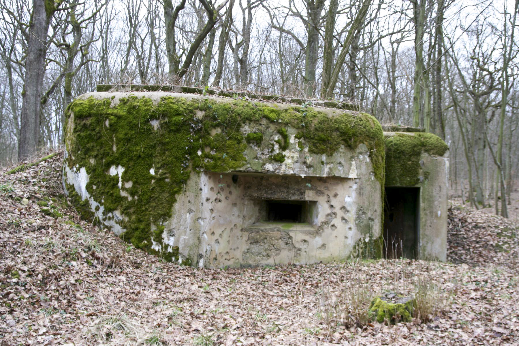 Ligne Maginot - CB9 - ROCKSWINGERT - (Blockhaus pour arme infanterie) -  - Michel Teiten