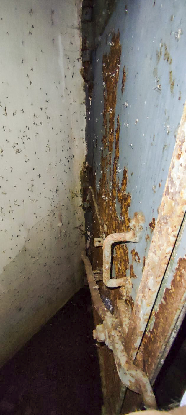 Ligne Maginot - G1 - (Chambre de coupure - Avec central) - Couloir et porte interieure - J.L