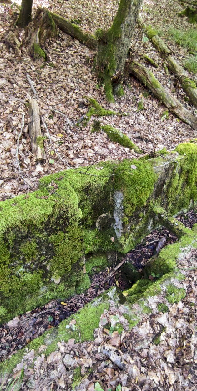 Ligne Maginot - VERLORENERBACH - (DMP - Dispositif de Mine Permanent) - Aménagements bétonnés pour cette route militaire de secours  - J.Luc