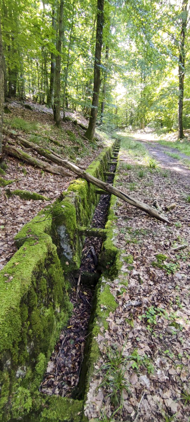Ligne Maginot - VERLORENERBACH - (DMP - Dispositif de Mine Permanent) - Aménagements bétonnés pour cette route militaire de secours  - J.Luc