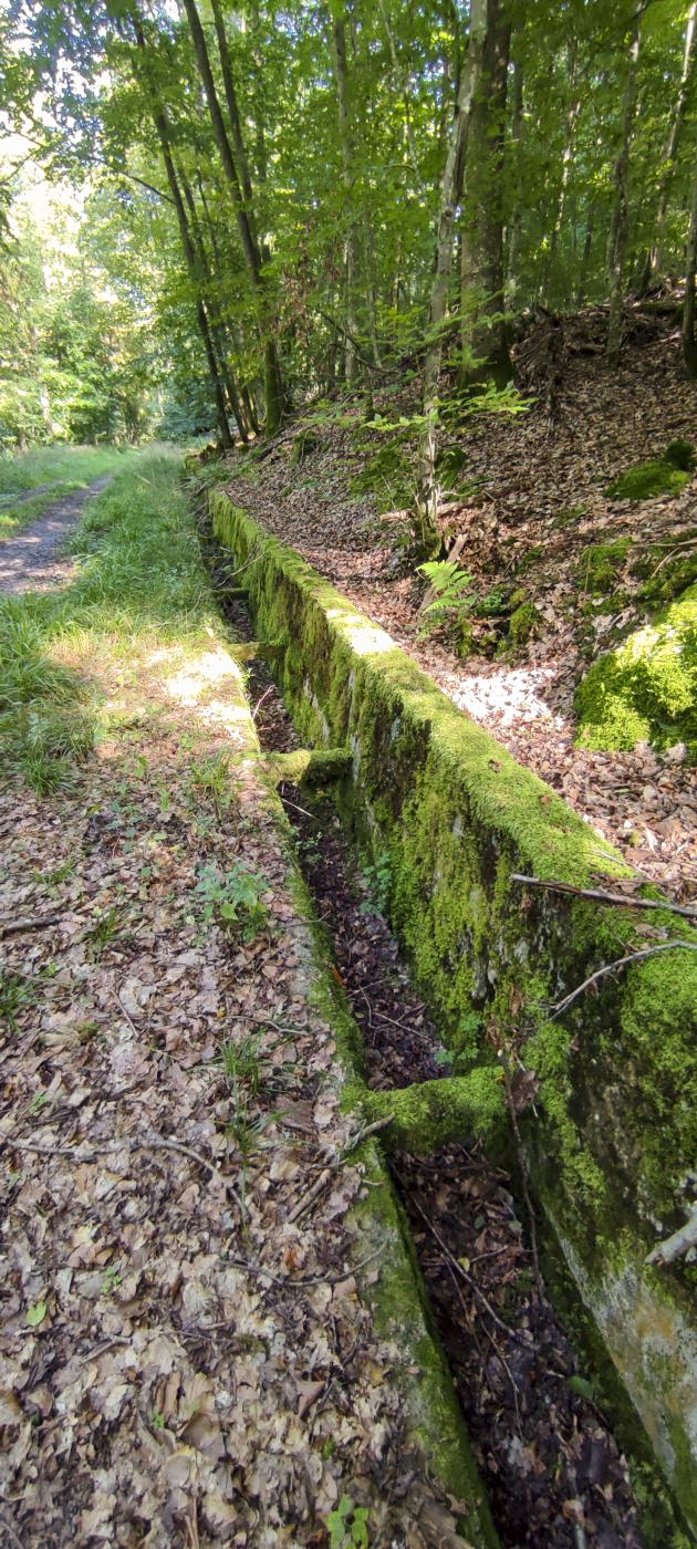 Ligne Maginot - VERLORENERBACH - (DMP - Dispositif de Mine Permanent) - Aménagements bétonnés pour cette route militaire de secours  - J.Luc