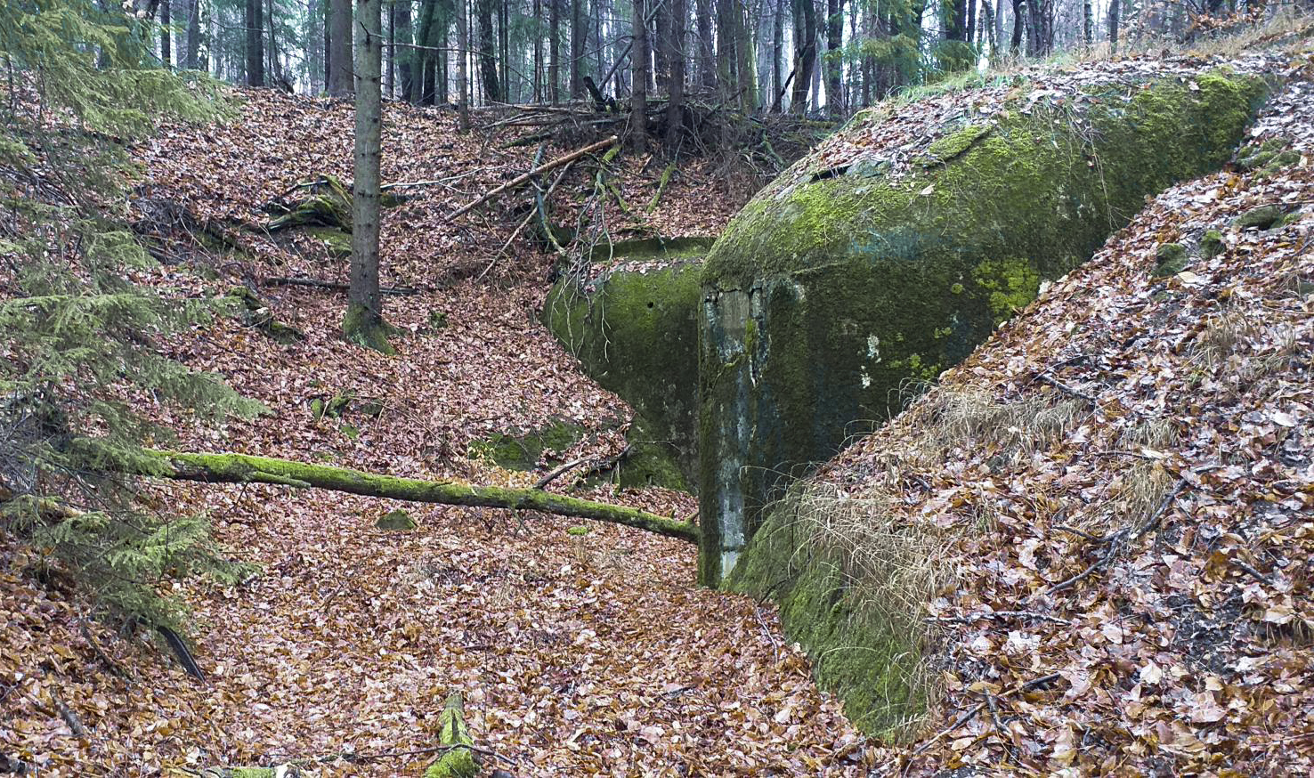 Ligne Maginot - HOCHWALD HAUT AVANT - BLOC 20 - O7 - (Observatoire d'artillerie) - Rampe d'accès latéral pour le matériel