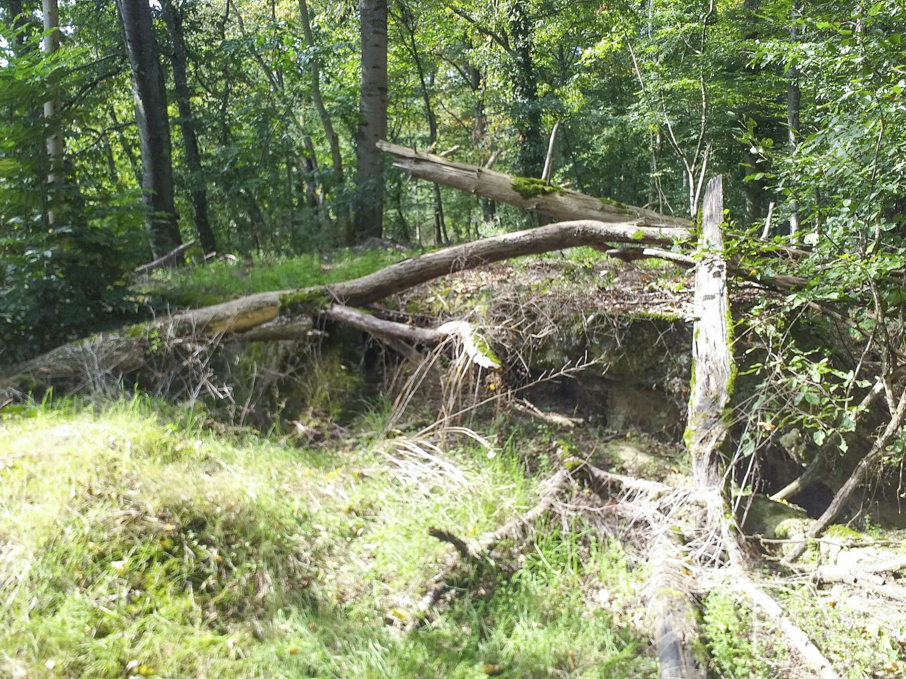 Ligne Maginot - NACHTWEID - (Blockhaus de type indéterminé) -  - Minich jean michel