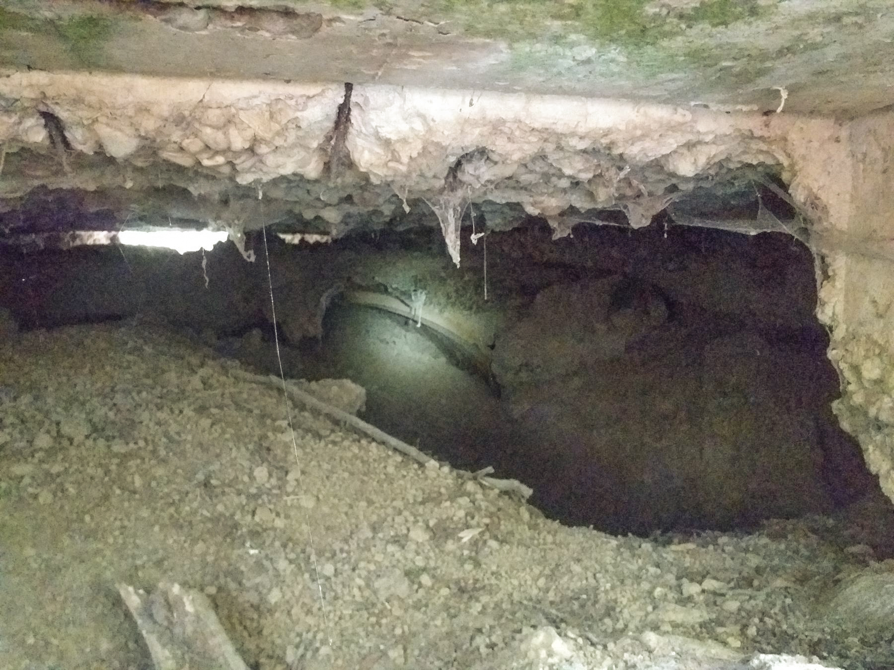 Ligne Maginot - NACHTWEID - (Blockhaus de type indéterminé) -  - Minich jean michel