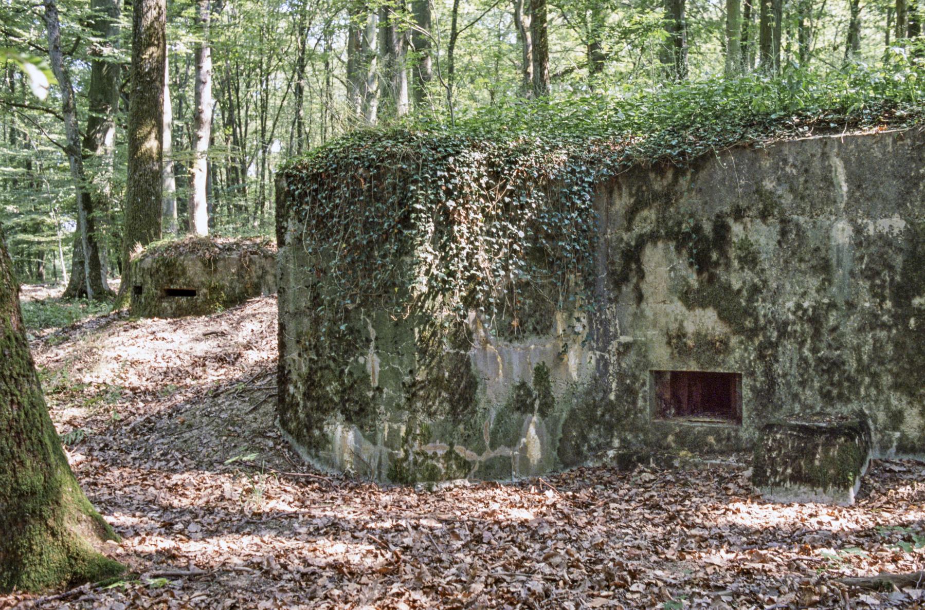 Ligne Maginot - CB203 - OBERHEIDE 05 - (Blockhaus pour arme infanterie) - On remarquera la présence d'un petit observatoire à proximité immédiate. Il n'est pas relié toutefois directement au blockhaus. - MANSUY Michel