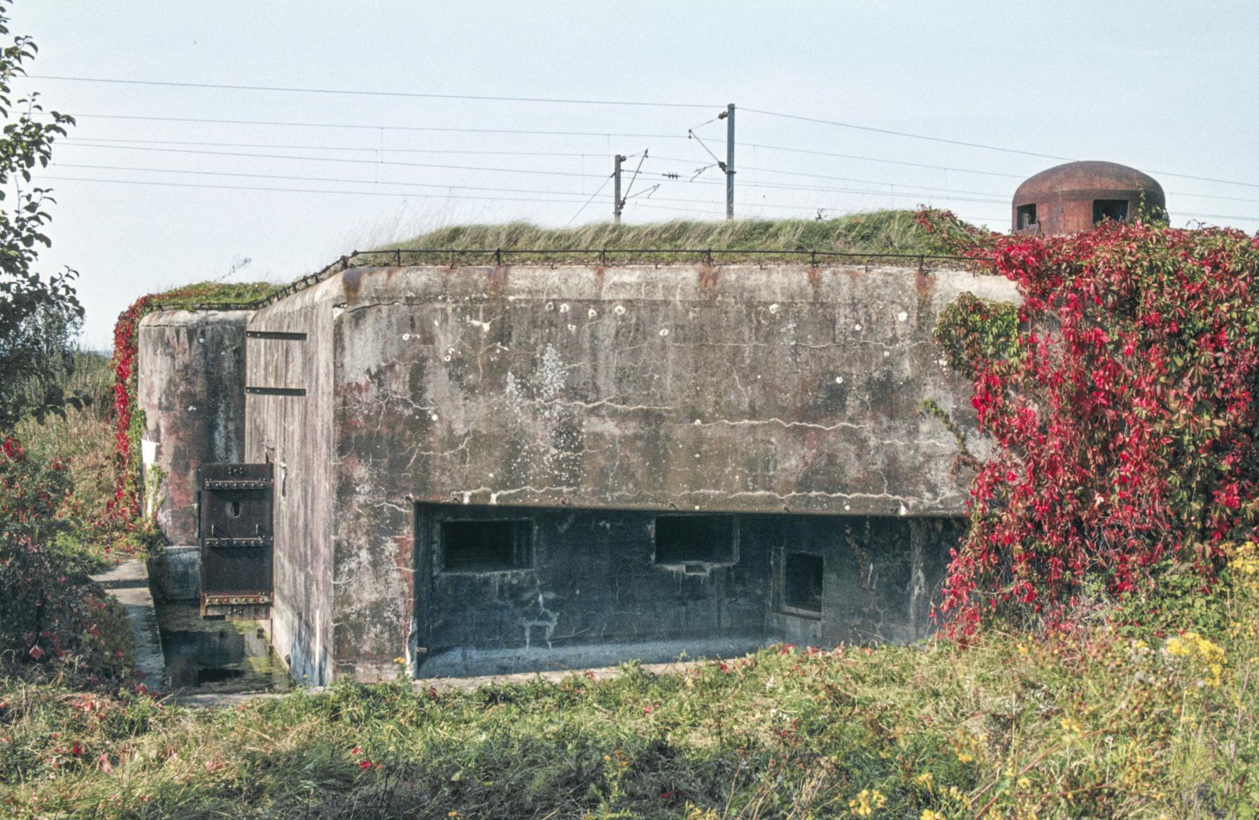 Ligne Maginot - KOENIGSMACKER SUD - C49 - (Casemate d'infanterie - Simple) -  - MANSUY Michel
