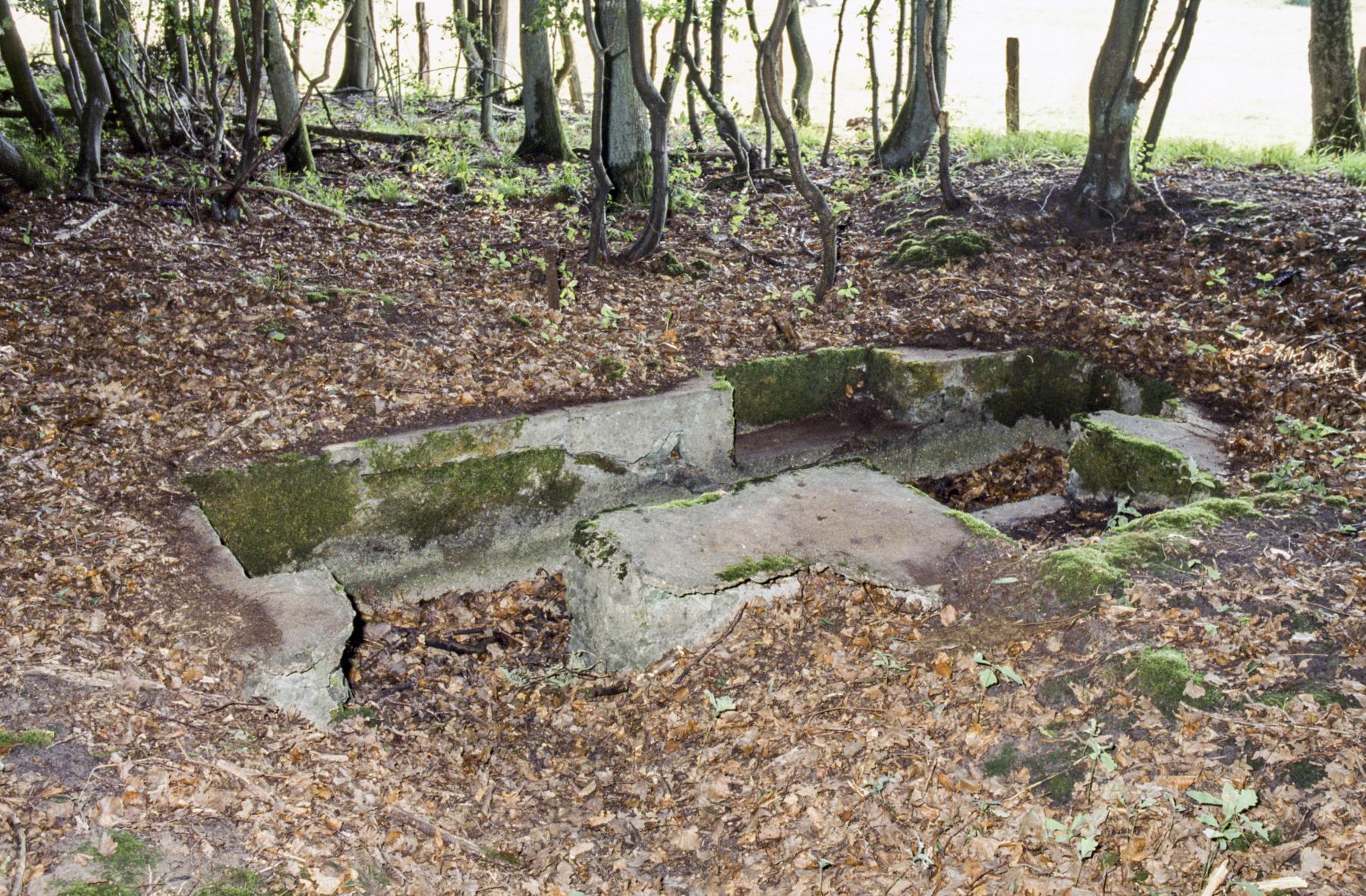 Ligne Maginot - TAUBRUNNENWALD 6 - (Cuve pour arme d'infanterie) -  - MANSUY Michel