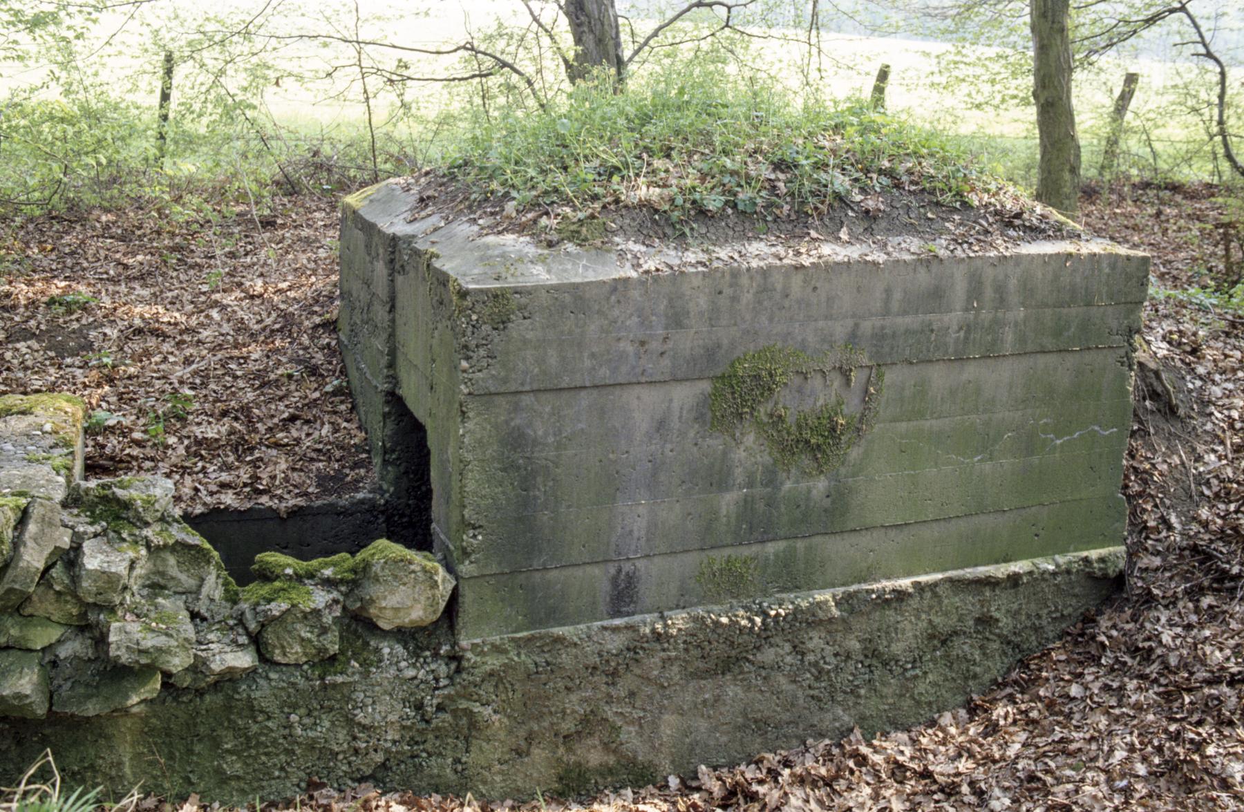 Ligne Maginot - STRANG 1 - (Abri) -  - MANSUY Michel