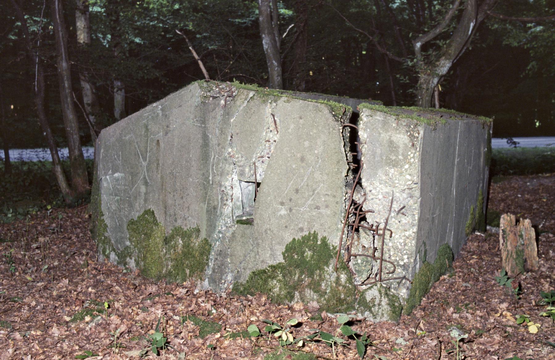 Ligne Maginot - M1B - TAUBRUNNENWALD - (Blockhaus pour arme infanterie) -  - MANSUY Michel