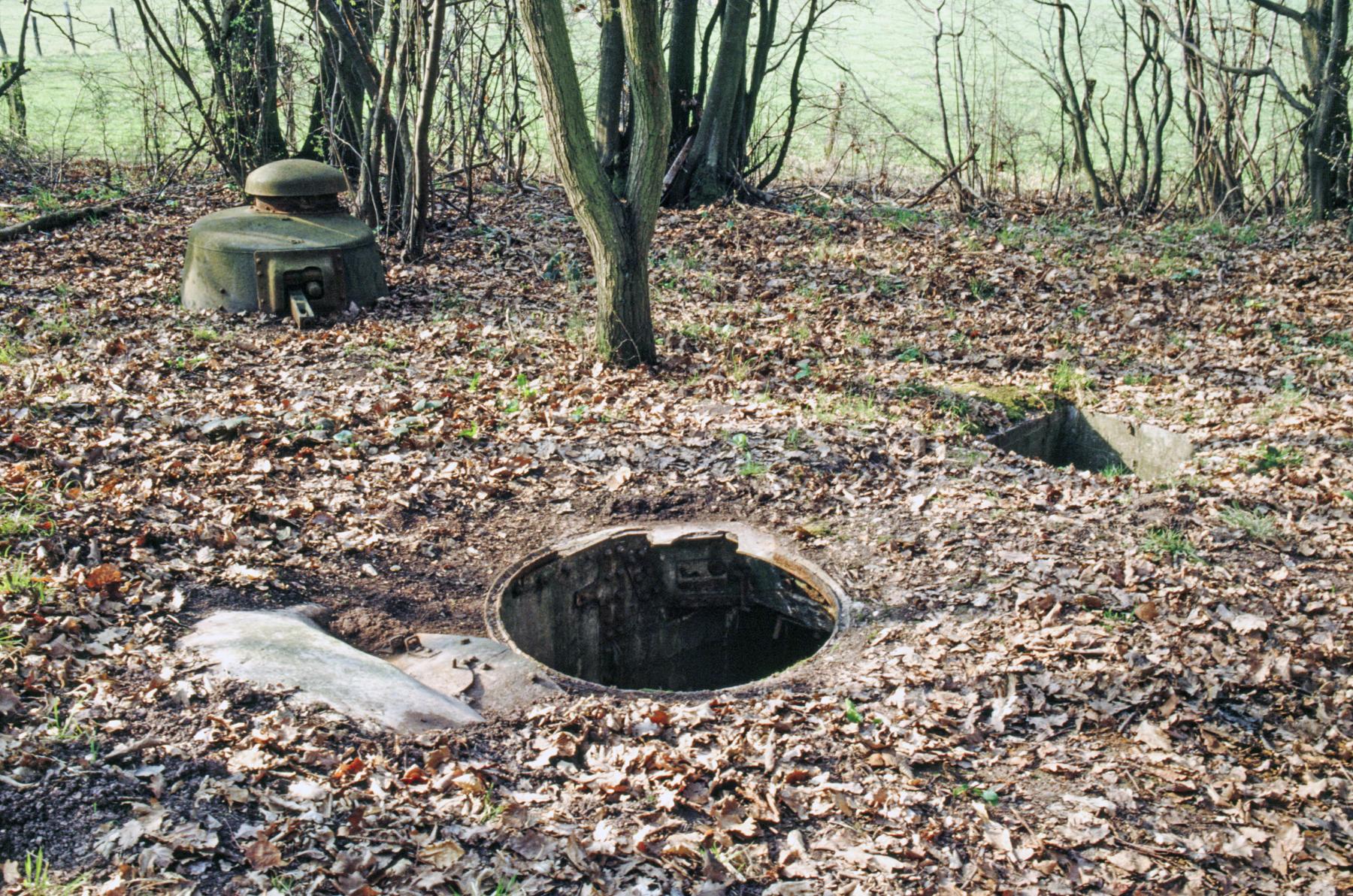 Ligne Maginot - TAUBRUNNENWALD 4 - FT - (Blockhaus pour arme infanterie) -  - MANSUY Michel