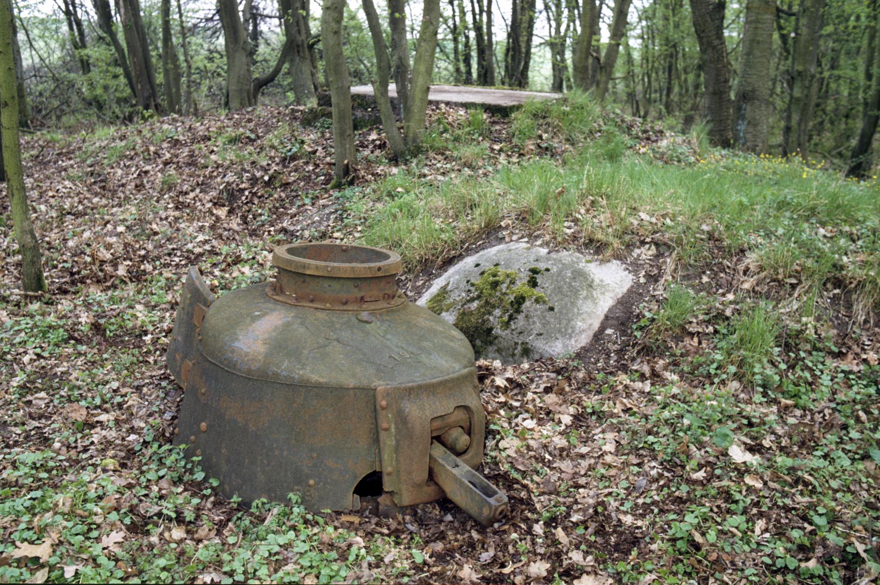 Ligne Maginot - TAUBRUNNENWALD 12 - FT - (Blockhaus pour arme infanterie) - L'emplacement  - MANSUY Michel