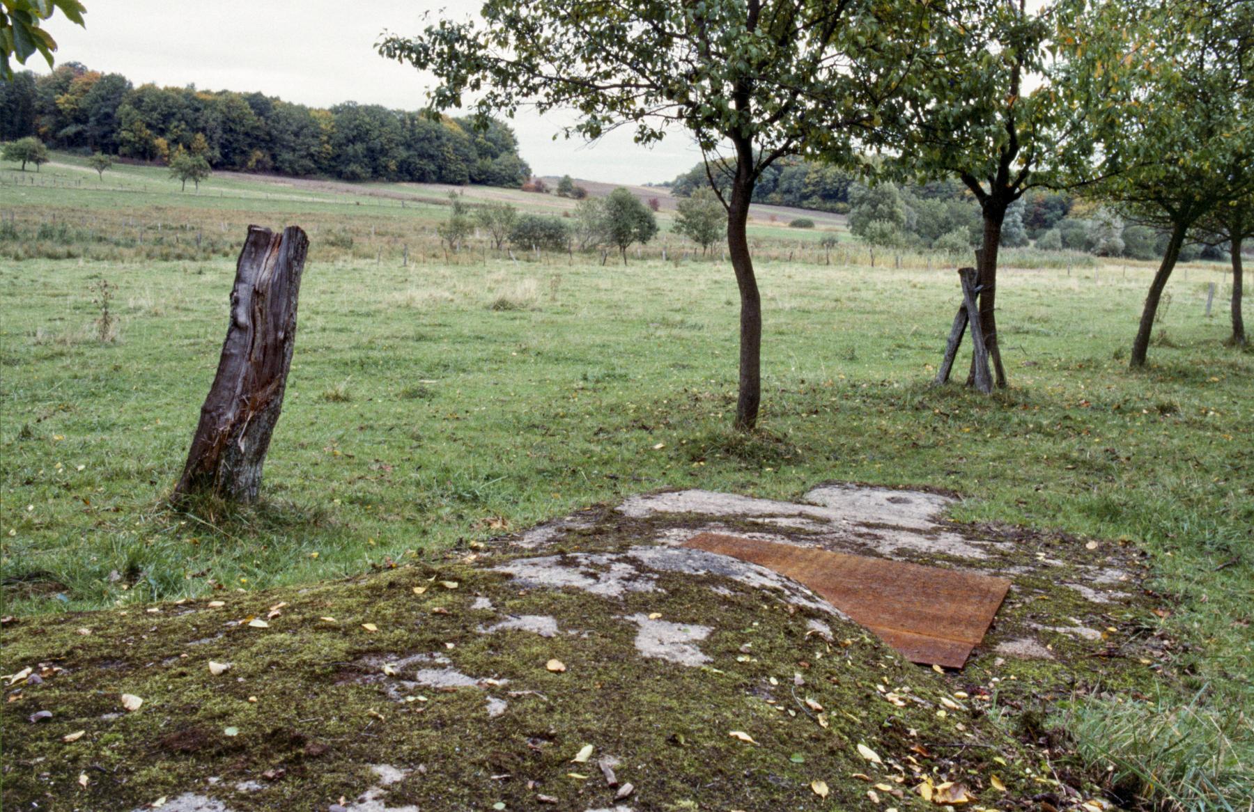 Ligne Maginot - VALETTE NORD EST 2 - (Blockhaus pour arme infanterie) -  - MANSUY Michel