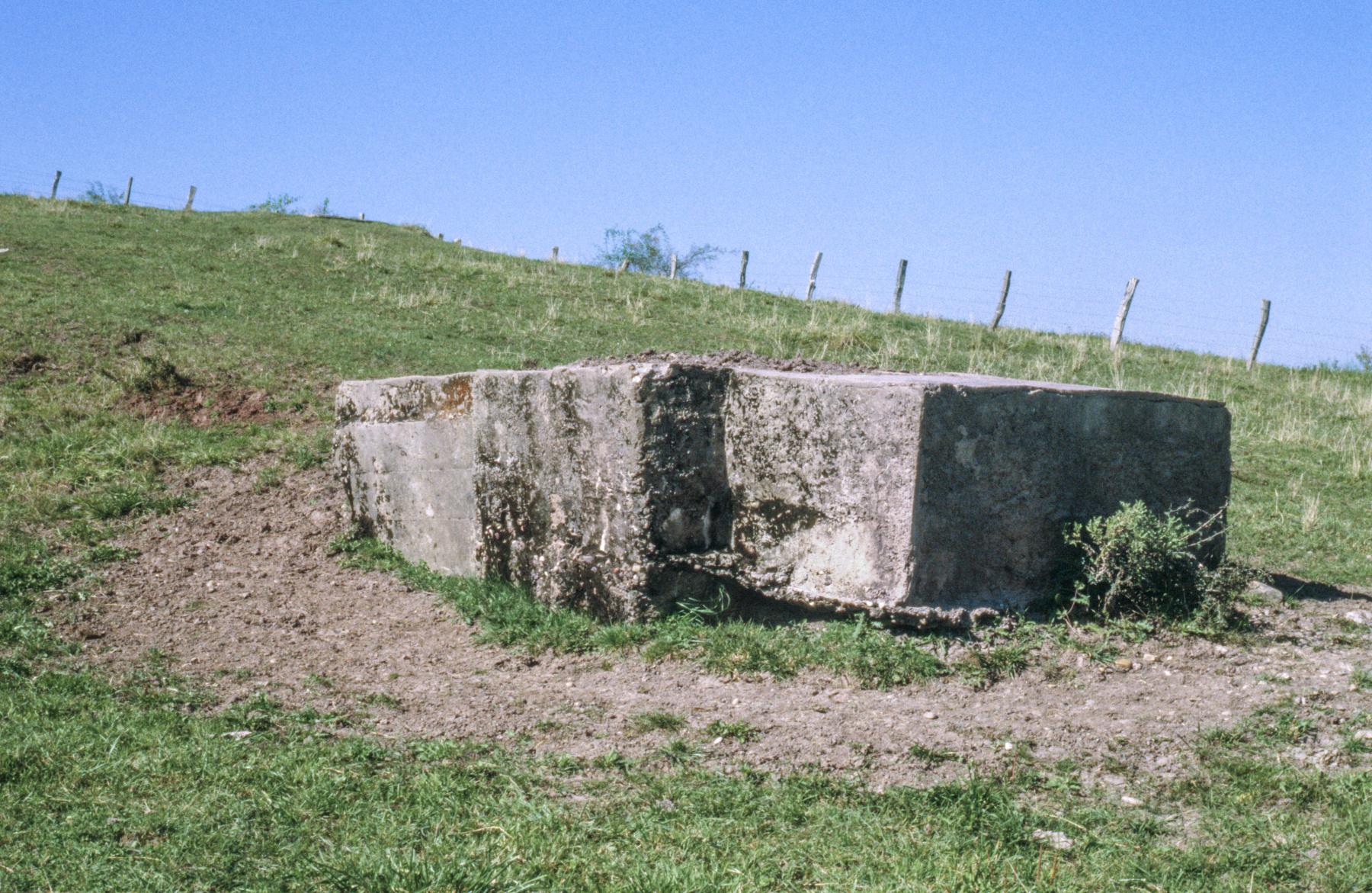 Ligne Maginot - DRIESCHBERG 3 - (Blockhaus pour arme infanterie) -  - MANSUY Michel
