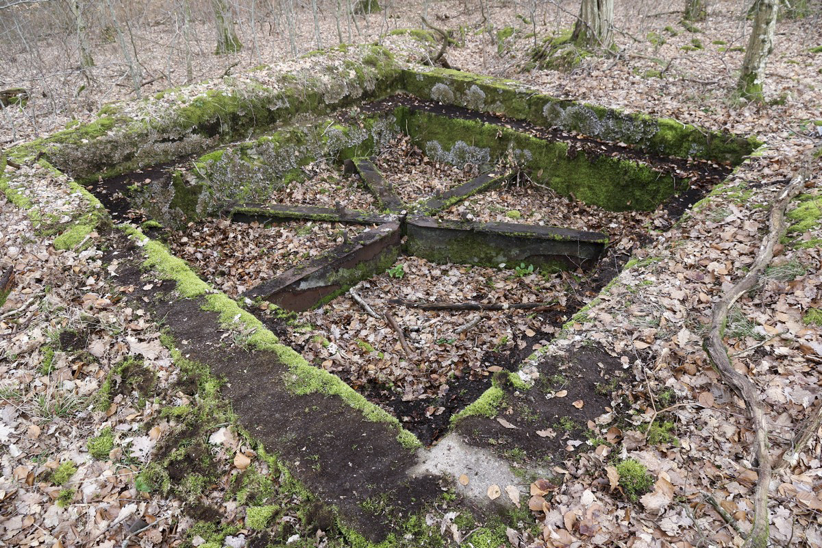 Ligne Maginot - ROHRWALD - (Cuve pour canon) - La cuve pour un canon de 65mm. - Alain Perouffe