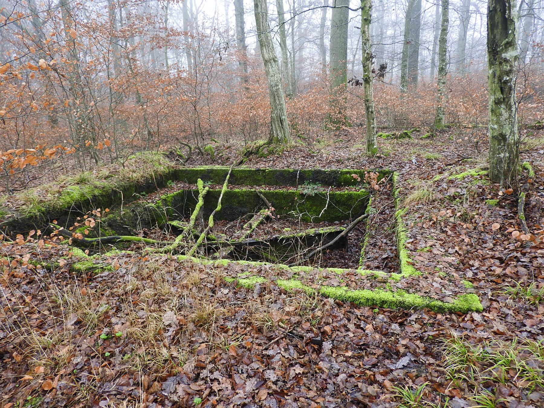 Ligne Maginot - ROHRWALD - (Cuve pour canon) - Une vue d'ensemble de la plate-forme.