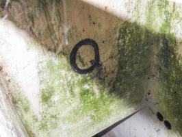 Ligne Maginot - Q - (Chambre de coupure) - Le marquage d'identification Q.