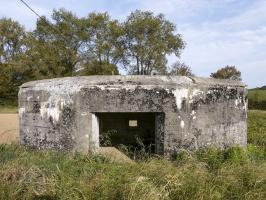 Ligne Maginot - B613 - LA PISSELOTTE - (Blockhaus pour canon) - 