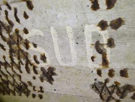 Ligne Maginot - B550 - LA BOETE - (Blockhaus pour canon) - 