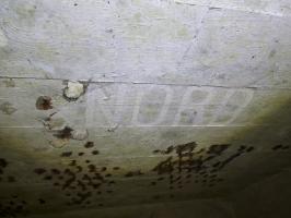 Ligne Maginot - B550 - LA BOETE - (Blockhaus pour canon) - 