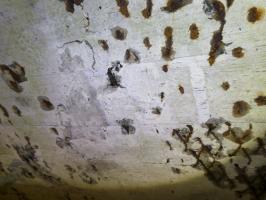 Ligne Maginot - B550 - LA BOETE - (Blockhaus pour canon) - Le EST est un peu moins lisible