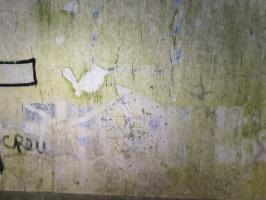 Ligne Maginot - SUD OUEST DE MAULDE - CASEMATE DE 155 - (Casemate d'artillerie) - Insigne 'On ne passe pas'
2023