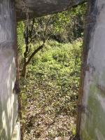 Ligne Maginot - RODIGNIES EST - (Casemate d'infanterie - Double) -  Entrée hommes