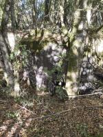 Ligne Maginot - AB313 - ROSSELN 2 - (Blockhaus pour canon) - Vue de côté. 