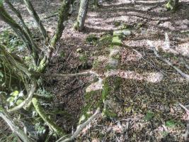 Ligne Maginot - AB313 - ROSSELN 2 - (Blockhaus pour canon) - Petite tranchée d'accès de la casemate vers la guérite d'observation.