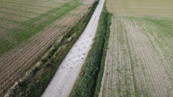 Ligne Maginot - 418B - GODELINS - (Barrage de Route) - 