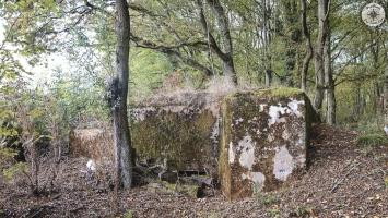 Ligne Maginot - CB206 - KOBENBUSCH - (Blockhaus pour arme infanterie) - 