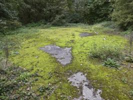 Ligne Maginot - FORT DE MAULDE EST - (Casemate d'artillerie) - La dalle supérieure 
