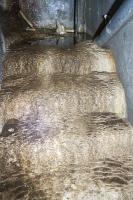 Ligne Maginot - SIMSERHOF - (Ouvrage d'artillerie) - Bloc 4
L'escalier menant aux étages est recouvert de concrétions calcaires