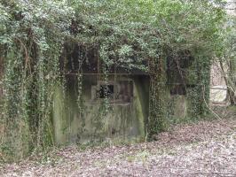 Ligne Maginot - SCHIRRHEINERWEG EST - (Casemate d'infanterie - Simple) - La façade de tir vers le nord.