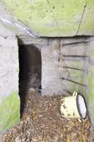 Ligne Maginot - B22 - MOULINS - (Blockhaus pour arme infanterie) - 