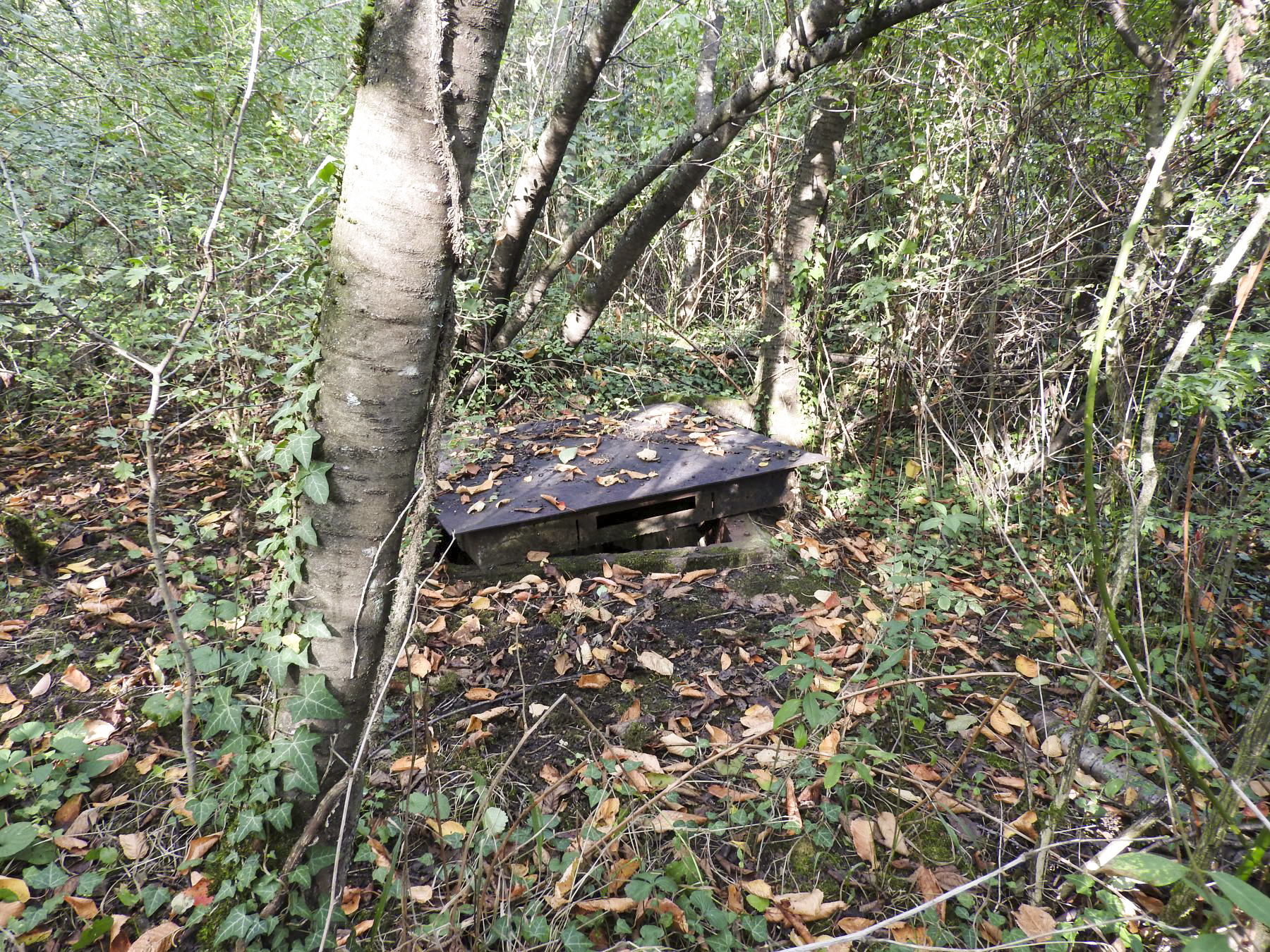 Ligne Maginot - Q - (Chambre de coupure) - La chambre de coupure Q - STENGER Mathieu