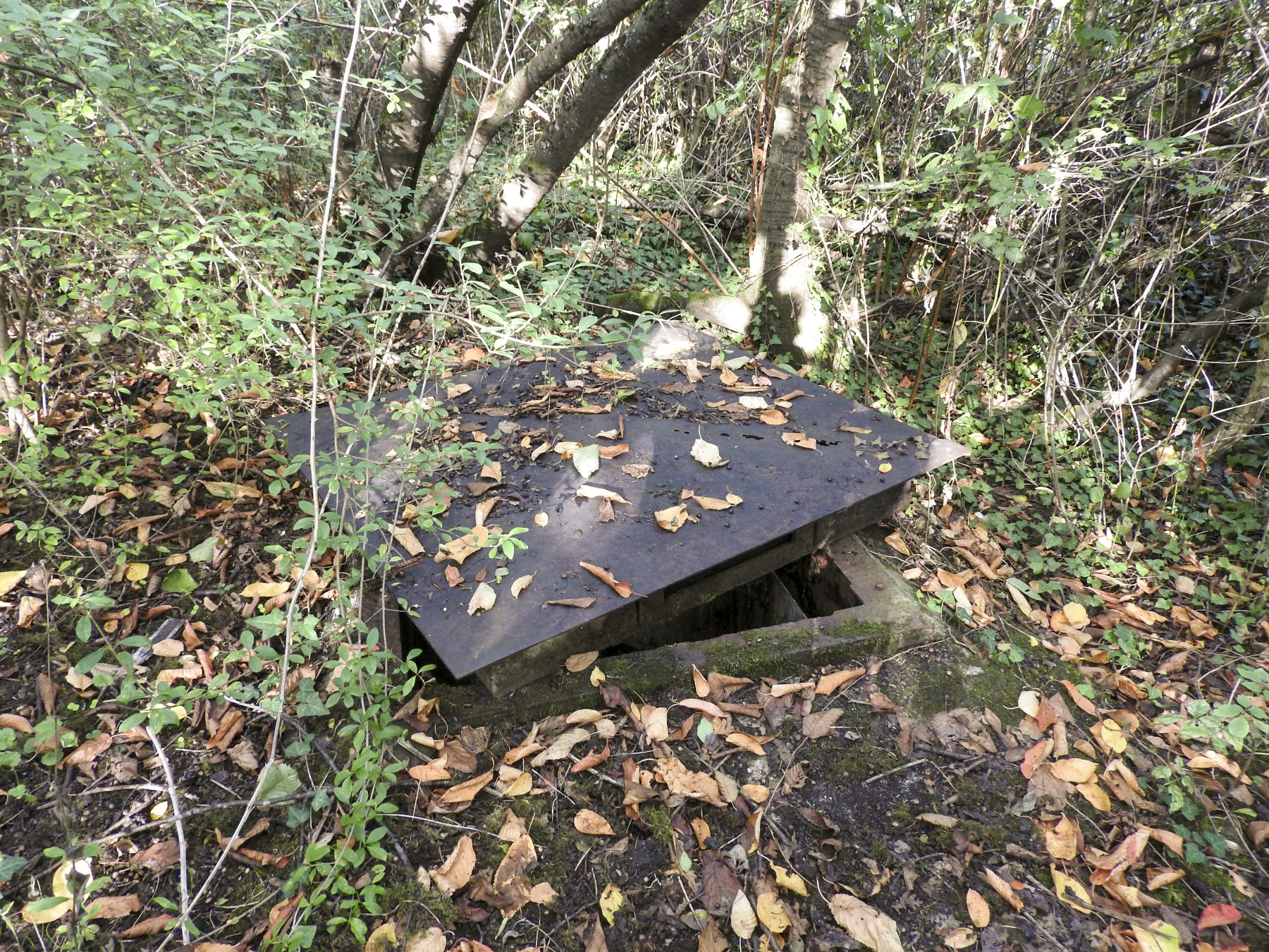 Ligne Maginot - Q - (Chambre de coupure) - La trappe d'accès. - STENGER Mathieu