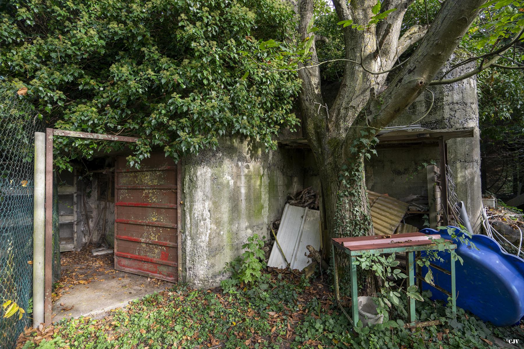 Ligne Maginot - VICQ  NORD - (Blockhaus lourd type STG / STG-FCR - Double) - Le blockhaus est sur terrain privé et envahi des lierres - Lia VERMEULEN