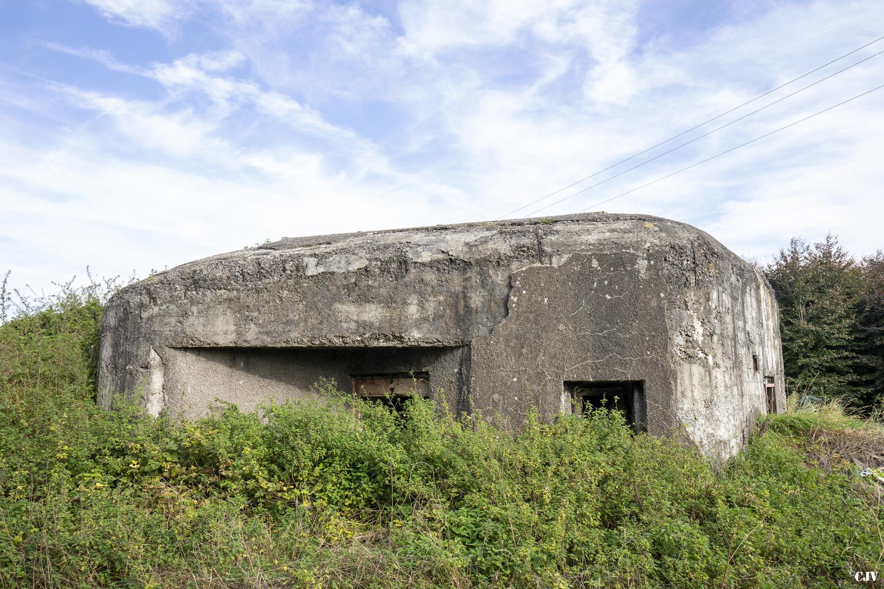 Ligne Maginot - B444 - FOSSE CUVINOT - (Blockhaus pour canon) -  - Lia VERMEULEN