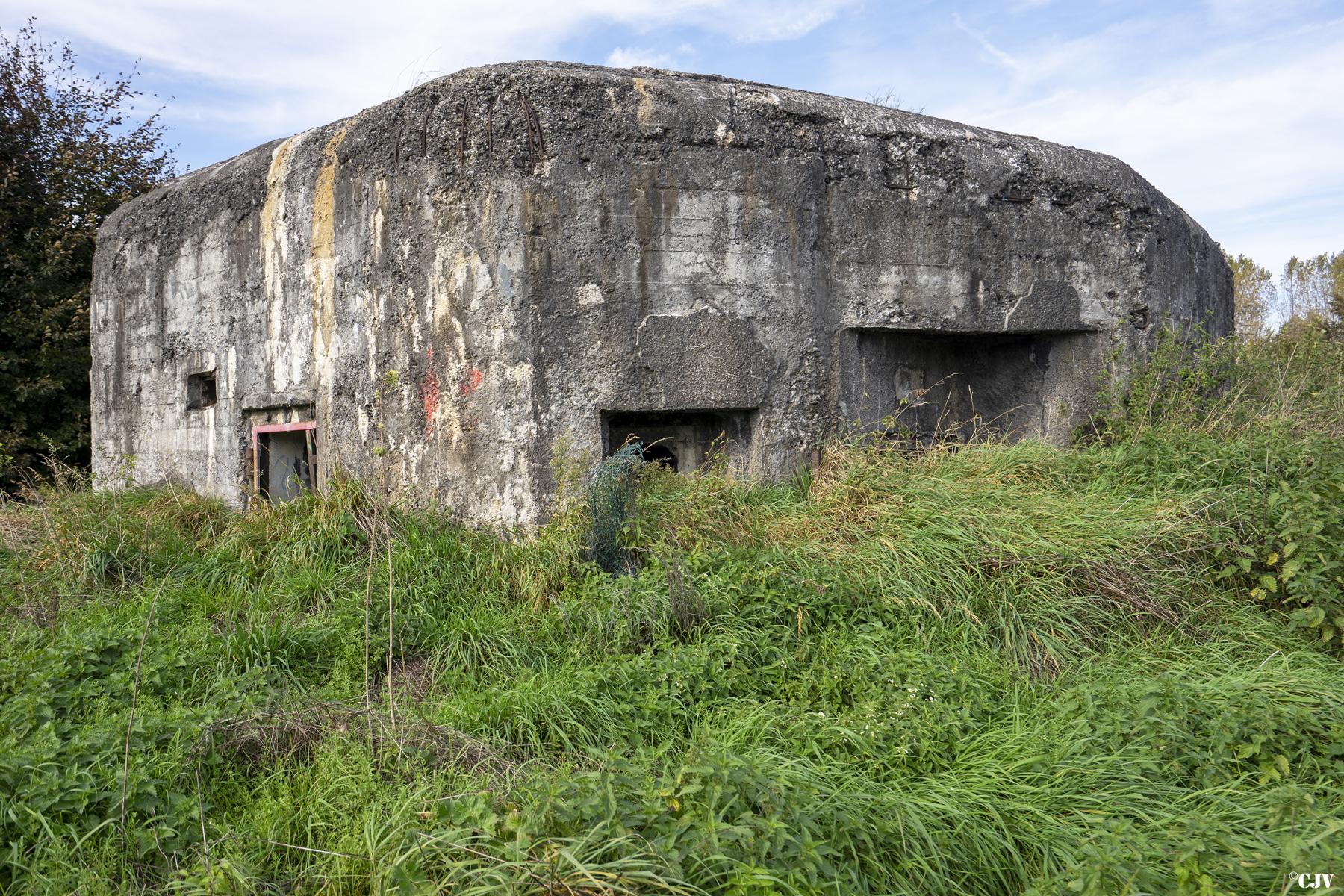 Ligne Maginot - B444 - FOSSE CUVINOT - (Blockhaus pour canon) - Les entrées - Lia VERMEULEN