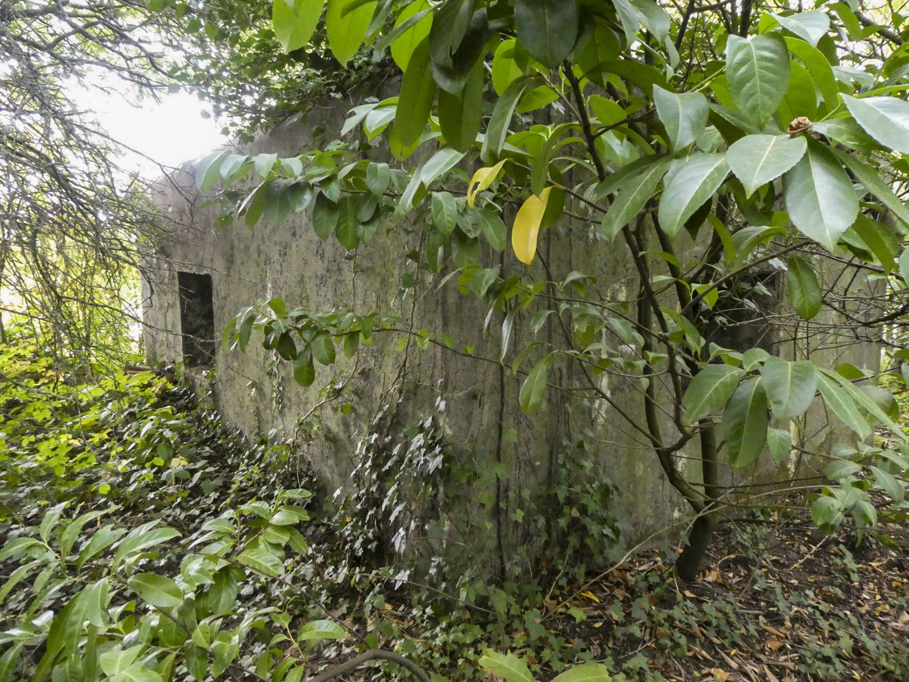 Ligne Maginot - L'ALOUETTE - (Blockhaus pour arme infanterie) - Le bloc actif  - ELLENA Daniel - CUNY Philippe 