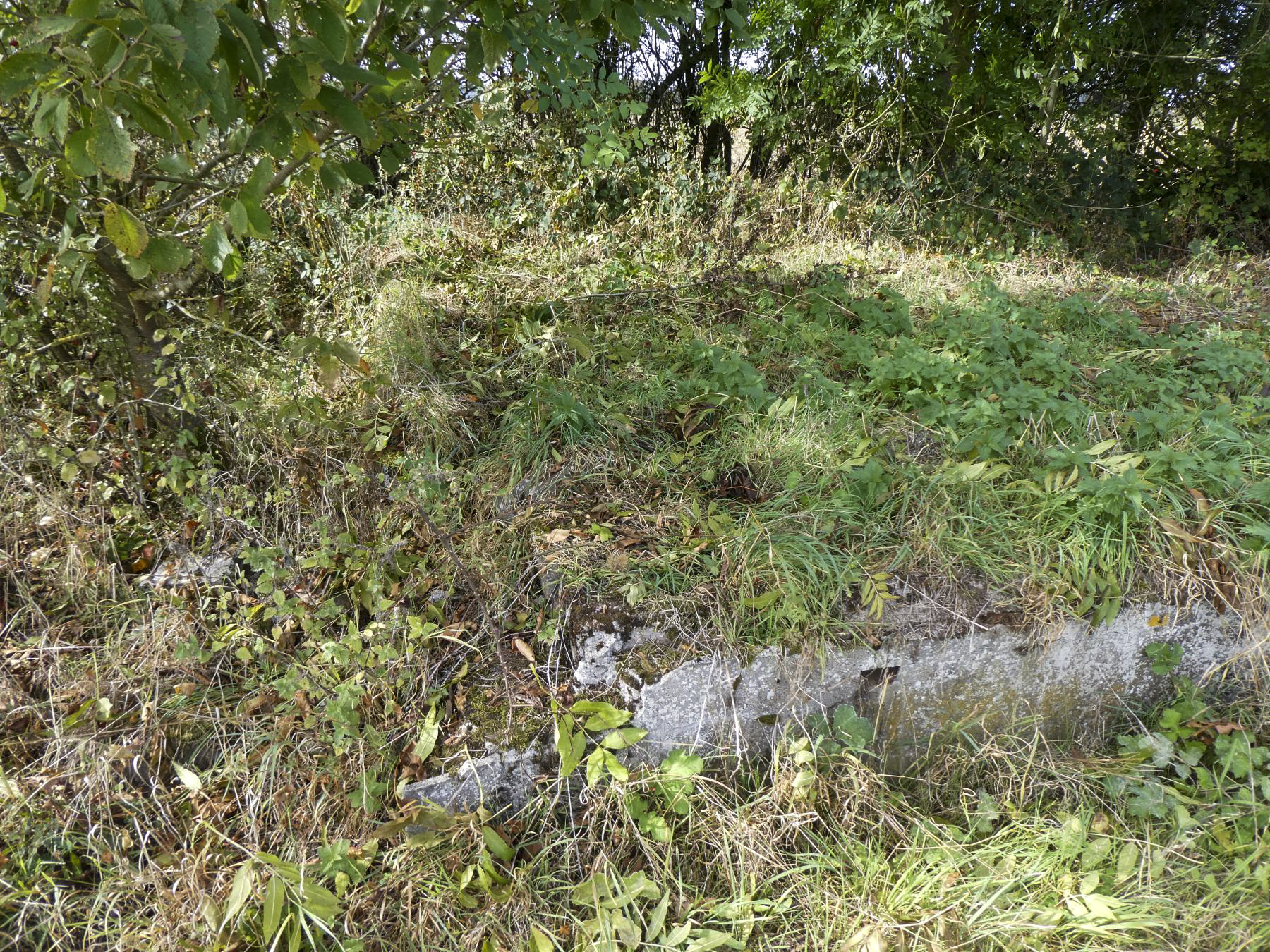 Ligne Maginot - BERSILLIES - (Casernement) -  - ELLENA Daniel - CUNY Philippe